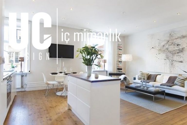 1+1 Ev Dekorasyonu Nasıl Olmalı? Uç İç Mimarlik